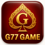 G 77 Game