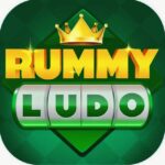 Rummy Ludo